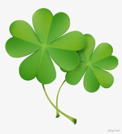 四叶草png素材透明免抠图片-动植人物