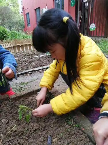 清明前后,种瓜点豆