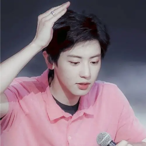 仙境中的粉衣哥哥朴灿烈