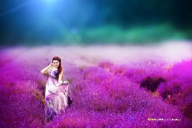 人像摄影:蜀葵花开嫣红,薰衣草花海醉人