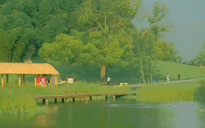 森系唯美治愈系自然风光