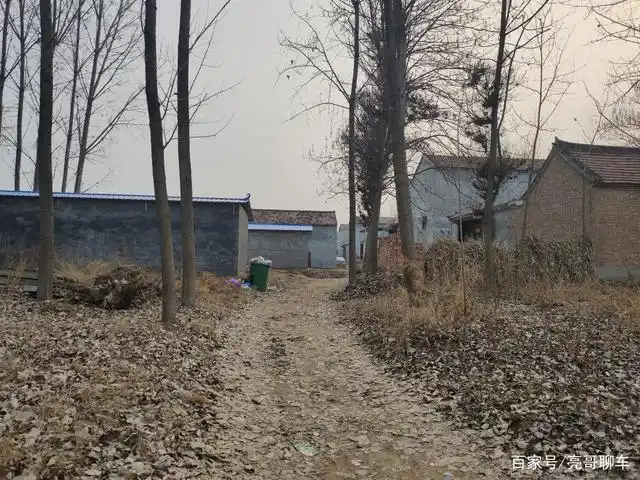 河南老家封路期间,难得有时间静下来,认识思考农村的另一面