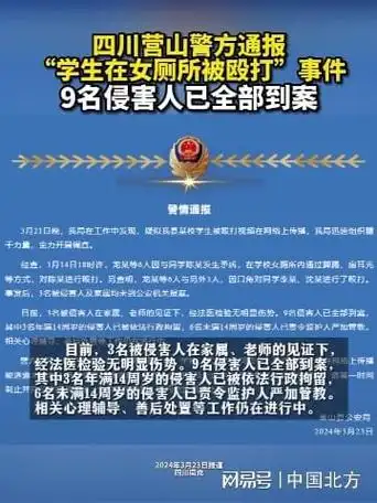 学生在女厕被殴打事件9名侵害人已全部到案|暴力行为_网易订阅