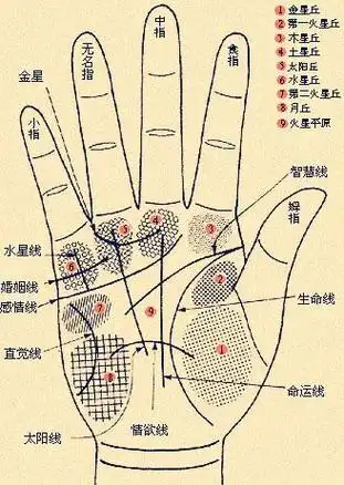 手是一个人的"身份证",不仅生长着你的性格纹路,还显示着你的命运密码