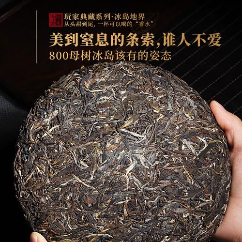 岩亥2019年800单株冰岛地界老寨生茶357g生茶饼临沧送礼 357g年