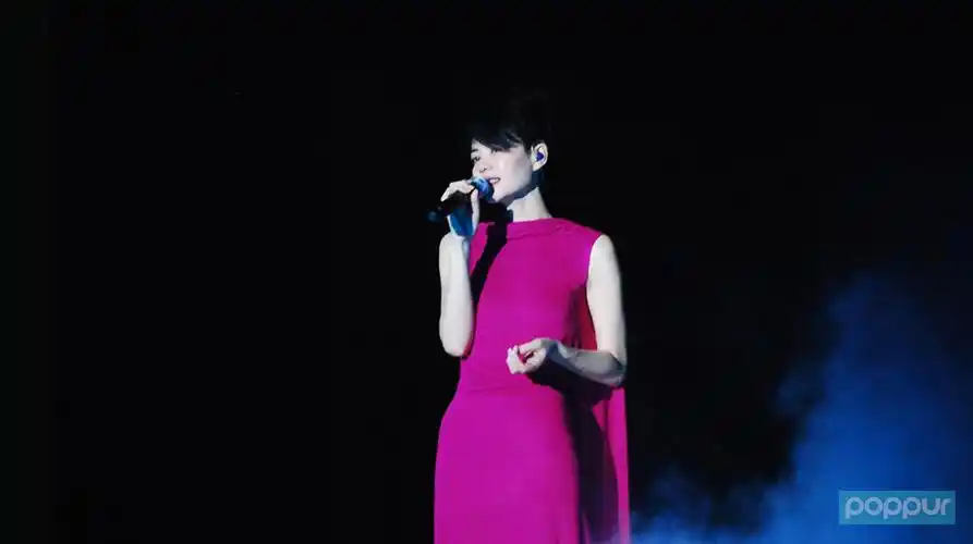 王菲演唱会门票为什么那么贵?