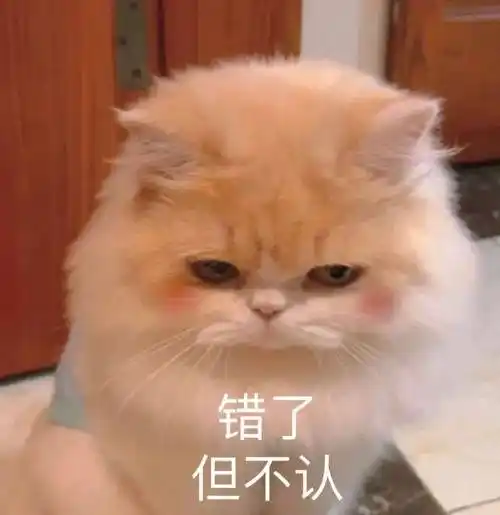 姐姐好辣!个性沙雕表情包