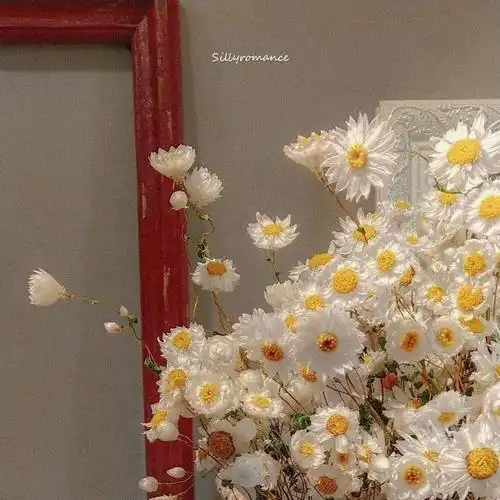 全民k歌 歌曲背景图 @red希希 侵删 来源杂图