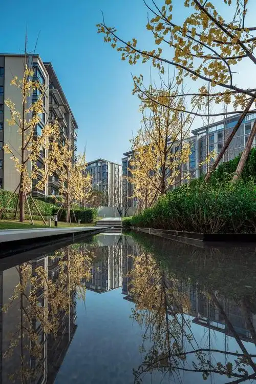 龙湖景粼玖序盛景交付 缔造中央公园人居新范本