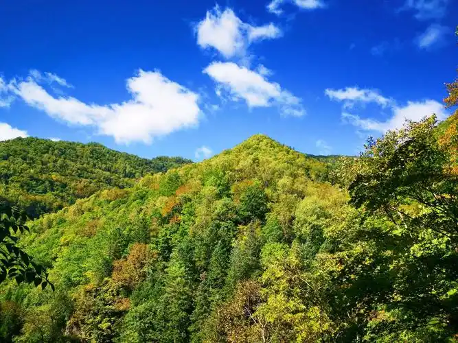 吉林白山:寻根十五道沟
