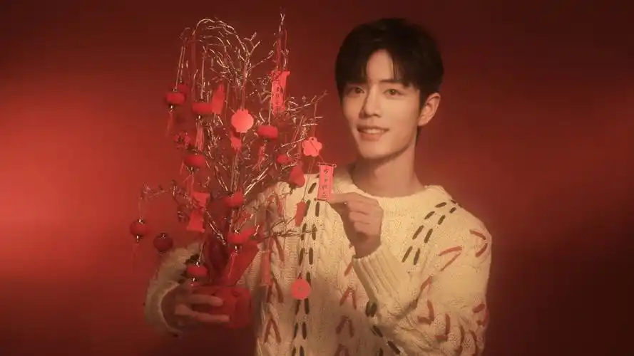 简介说明:肖战 春节祝福4k壁纸,是彼岸图网给您推荐的高清4k人物壁纸