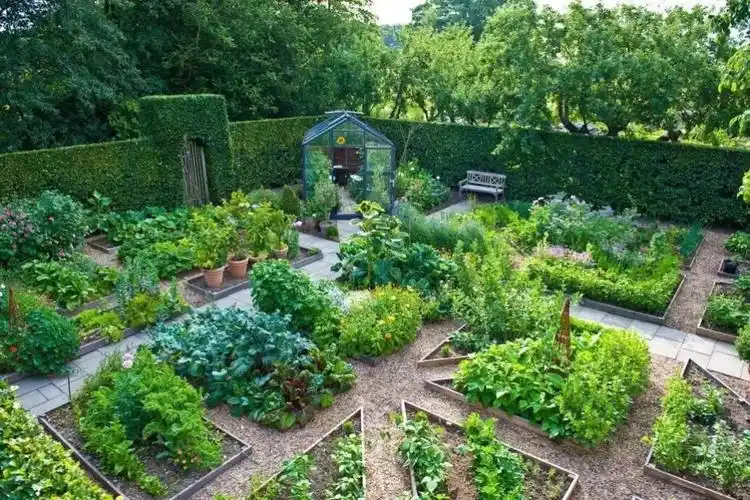 美丽庭院她课堂2020年美丽庭院如何营建花园式菜园