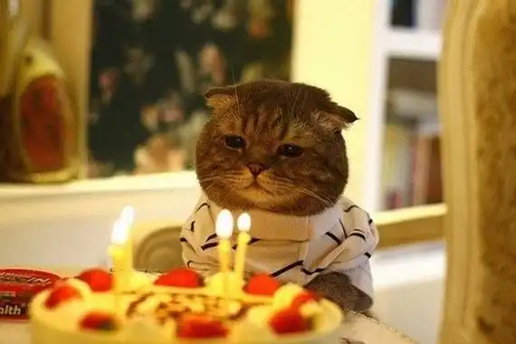 祝自己生日快乐的可爱图片自己生日图片