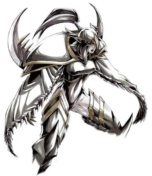 一骑当千的幻影刺客 玛维·影歌