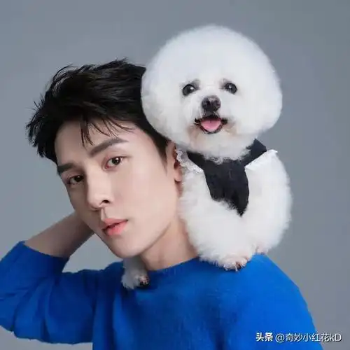 李佳琦个人资料李佳琦个人资料李佳琦怎么又双叒消失不见了