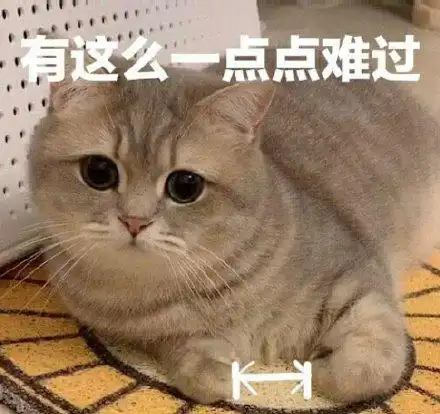 萌宠gif喵星人gif有点难过gif有点想哭gif可爱gif憨憨gif