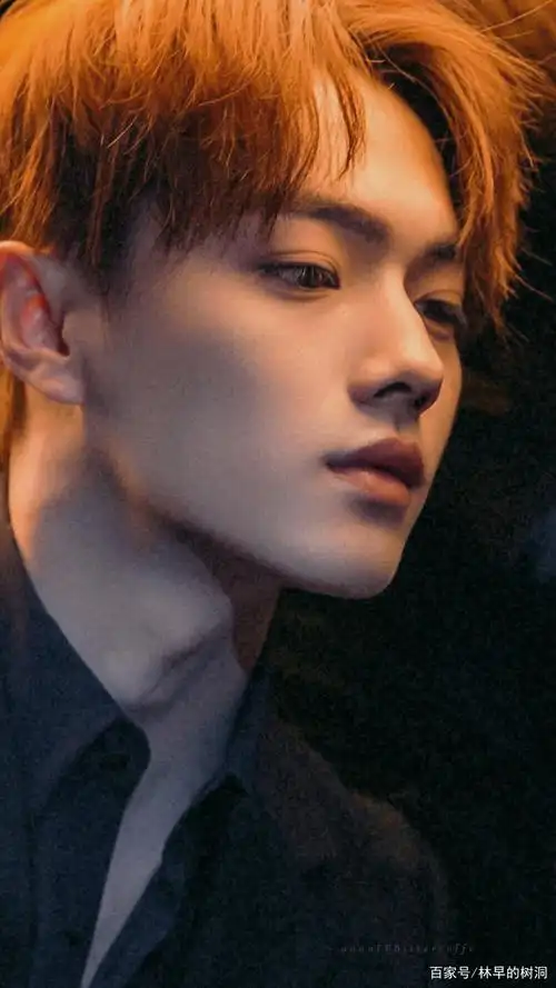 许凯壁纸:奶凶弟弟谁不爱呢