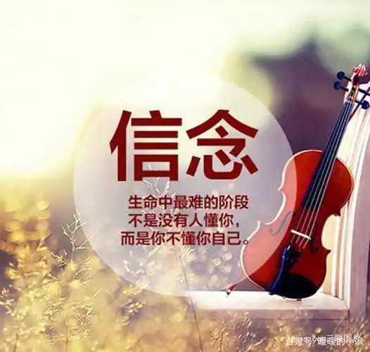 加油,未来可期,我们会越来越好