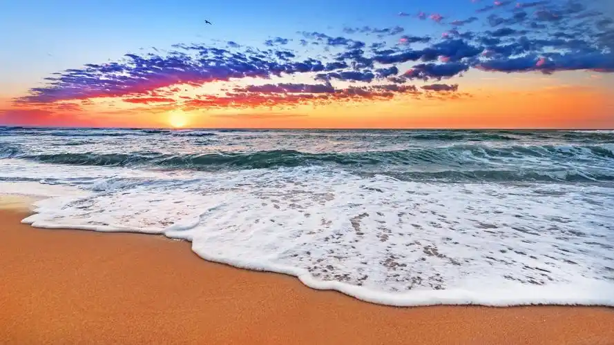 海滩上观赏浪花