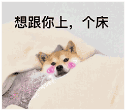 情侣之间可爱表情包