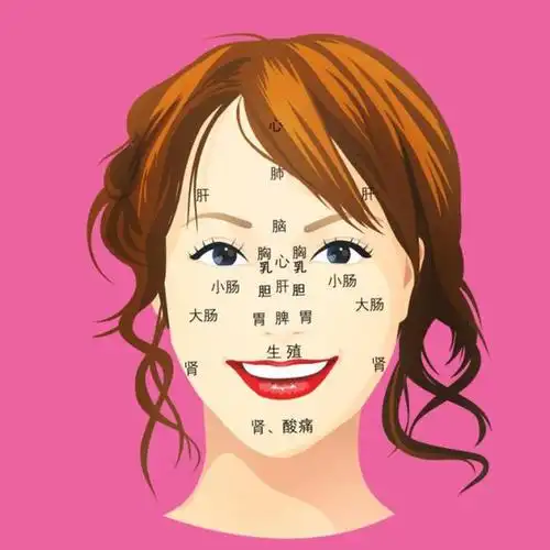 脸上漂亮与内脏有关,头发浓密的偏方,怎样把身体