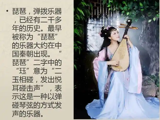 琵琶(乐器简介)ppt