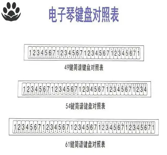 钢琴键盘贴纸电子琴手卷简谱按键音标数字透明电子琴