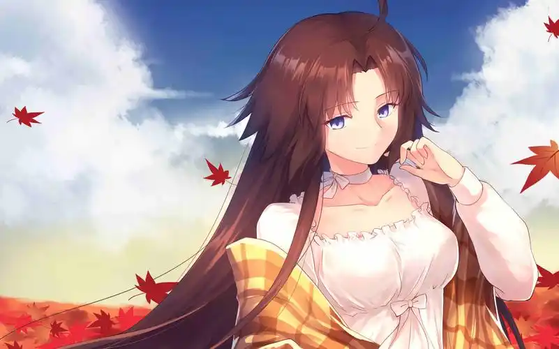 fgo两仪式assassin单挑狼王初战