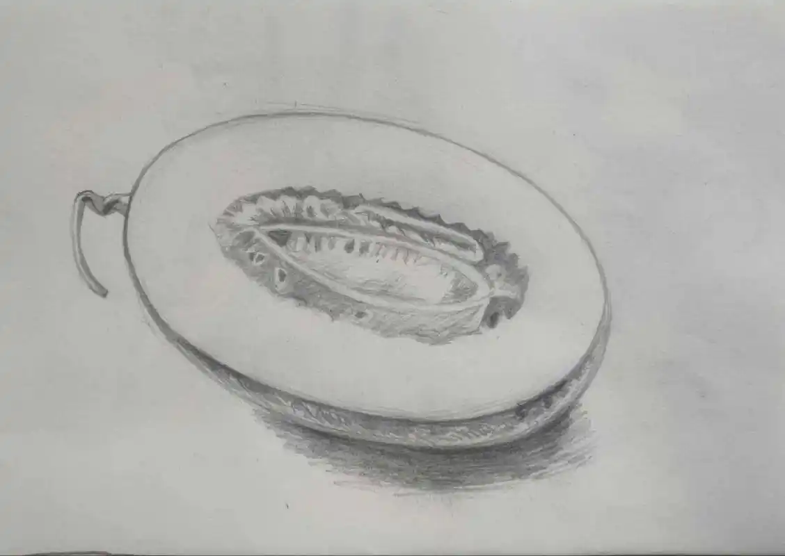 素描哈密瓜