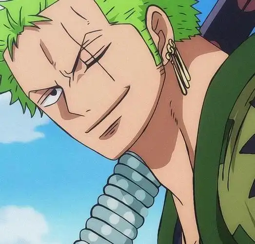 绿藻头,索隆,索大,路痴专用头像