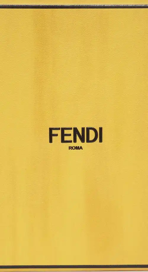 fendi pack 黄色盒子手袋