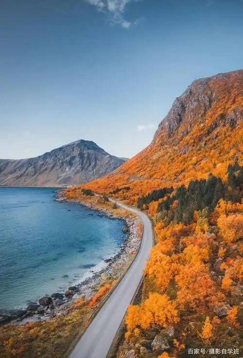 秋天照片怎么拍更好看?怎么修更好看?这篇教程,全都介绍.