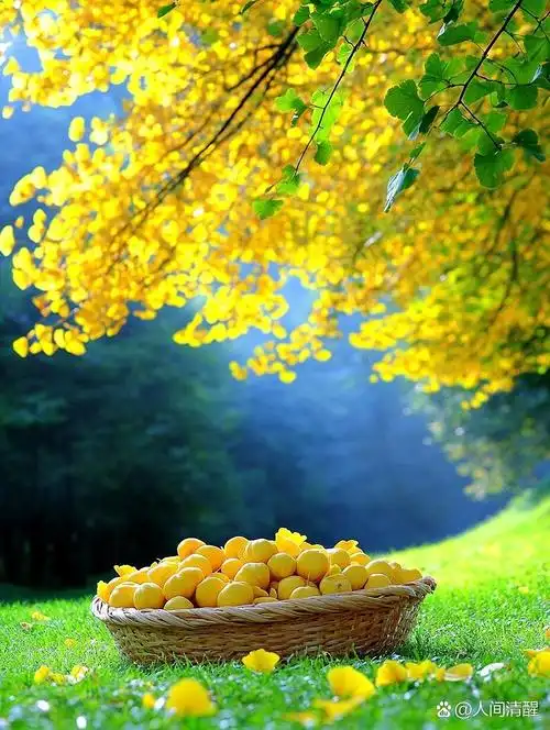 "空山新雨后,天气晚来秋