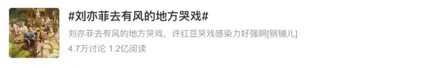 刘亦菲:我不怀念煤老板们