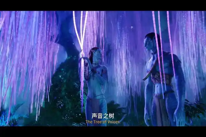 它若引进,必爆!|詹姆斯·卡梅隆|纳美人|阿凡达|星球|潘多拉_网易订阅