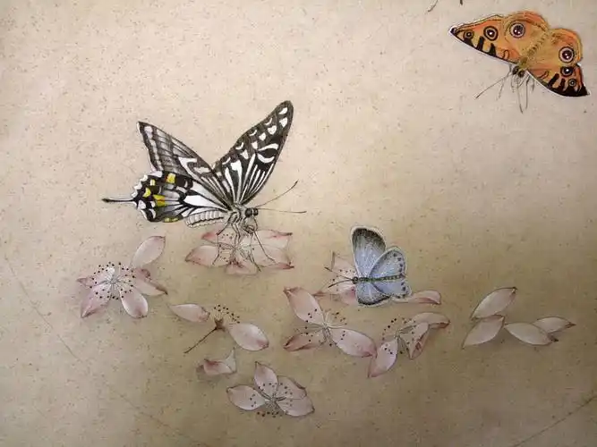 手绘-工笔-蝴蝶