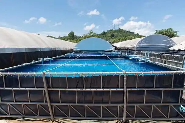 储水池骨架反吊膜的结构,特点,应用和优势