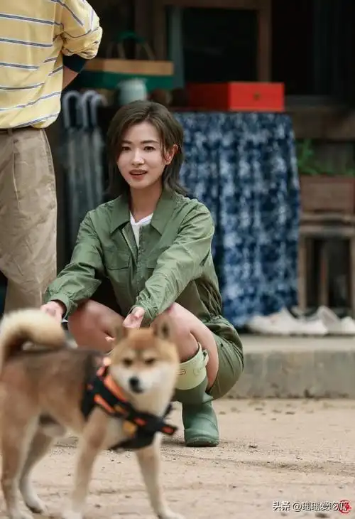 中年男人心头有三宝:万茜,高叶,王晓晨!年轻小伙子一般不懂