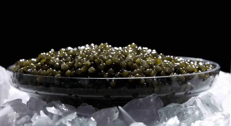 鱼子酱(又称鱼籽酱,鲟鳇鱼卵,鲑鱼卵等的腌制品)