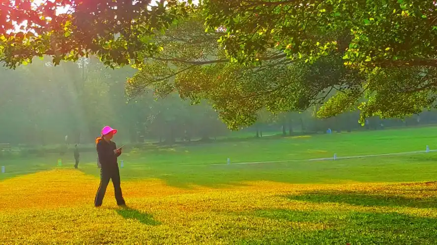 青春,在随处的阳光里,都是一幅迷人的画.