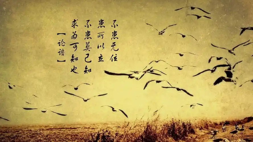 文字论语文字控壁纸封面图文字 论语 文字控壁纸壁纸于2020-06-16上传