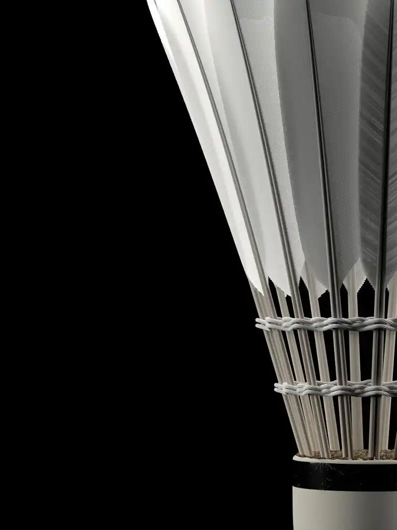 羽毛球壁纸分享一波吧9615 自己找的 个人感觉比较喜欢的几张 有