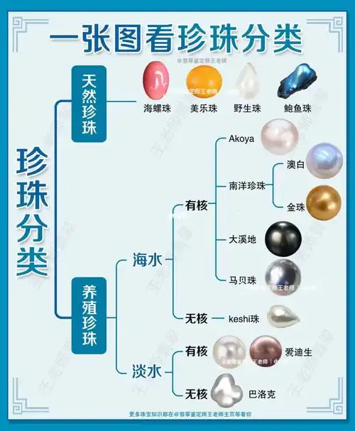 新手必看一张图认识珍珠分类75