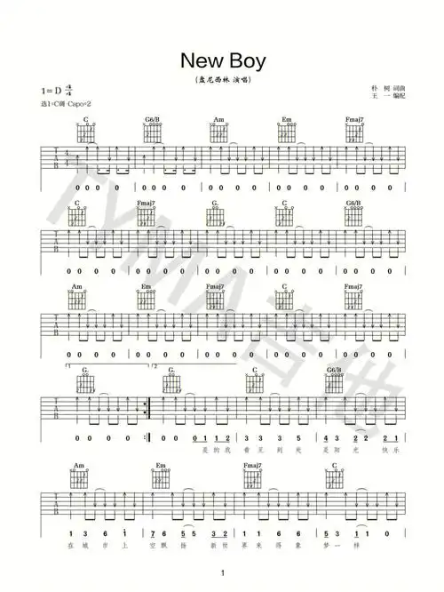 newboy吉他谱泰玛吉他