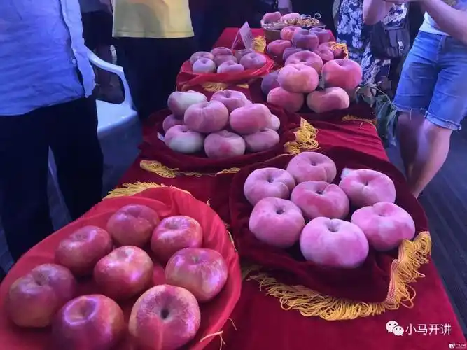 蟠桃盛会上演想知道新一届桃王是谁吗点进来