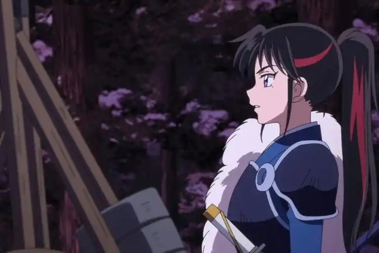 半妖的夜叉姬永远黑化暴走杀生丸上线清杂兵