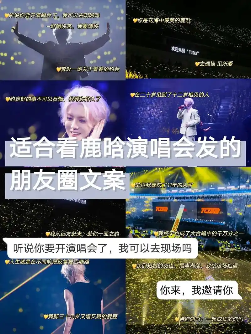 适合去看鹿晗99演唱会发的朋友圈文案.