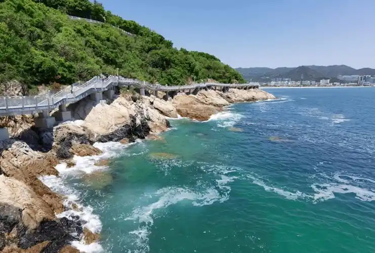 大梅沙入园政策有变!行程码带星不能进_疫情_深圳市_游客