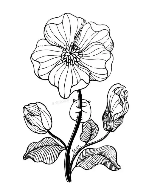 手把手教你用线条如何画一朵花,两支中性笔就可以,简单易学