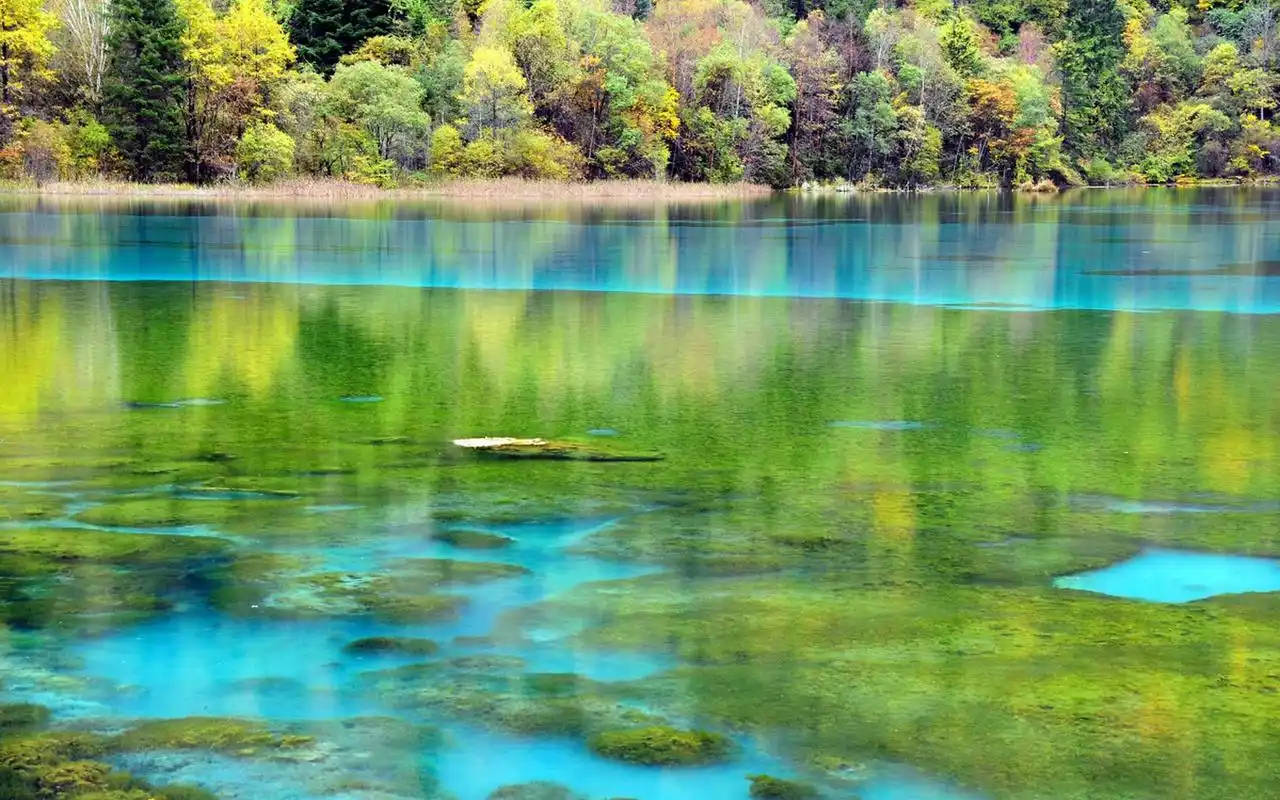 九寨沟唯美仙境自然风景摄影图片桌面壁纸高清大图预览1920x1200_风景